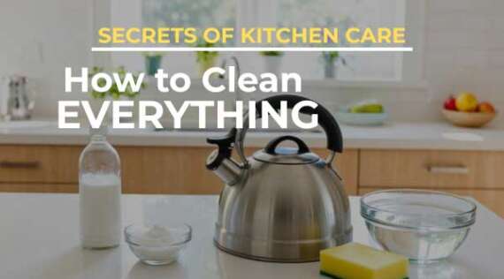 Secrets of Kitchen Care: How to Clean Everything Easily and Without Chemicals