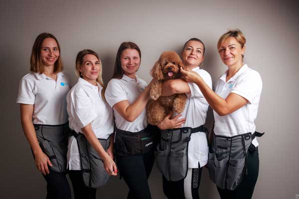 Post-Construction-Cleaning-Team Post Construction Cleaning Team