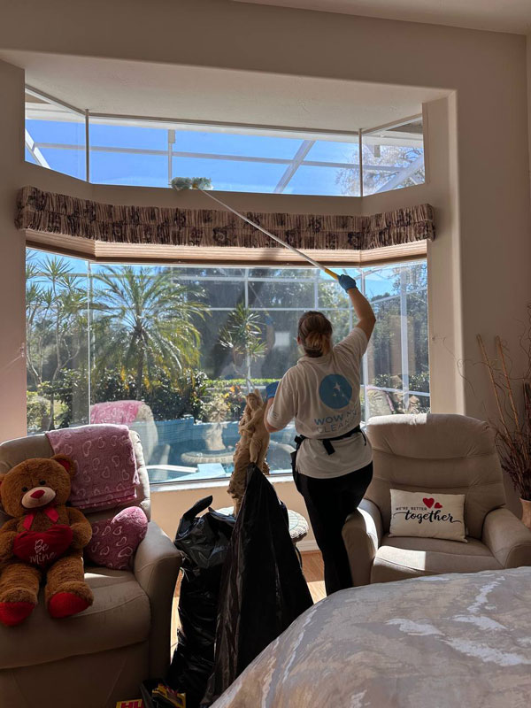 wow-now-cloeaning---window-cleaning wow-now-cloeaning---window-cleaning