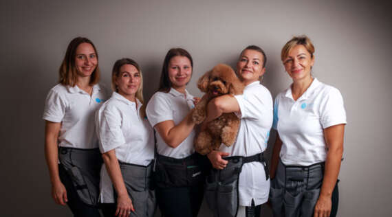How to Keep Your Home Clean With Pets: Practical Tips
