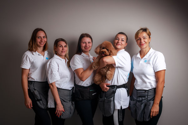 wow-now-cleaning-team