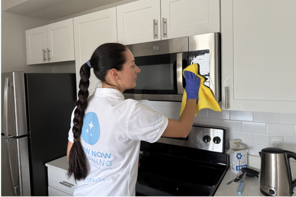 Eco-Friendly Cleaning Tampa _ Safe for Kids & Pets Guide