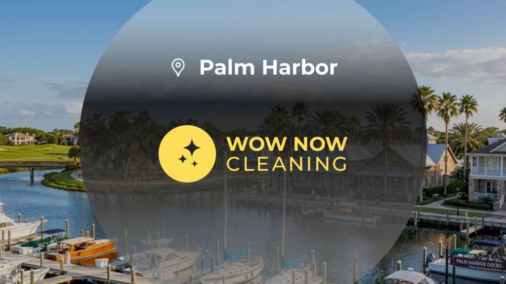 Cleaning Services Palm Harbor - Wow Now Cleaning Cleaning Services Palm Harbor - Wow Now Cleaning