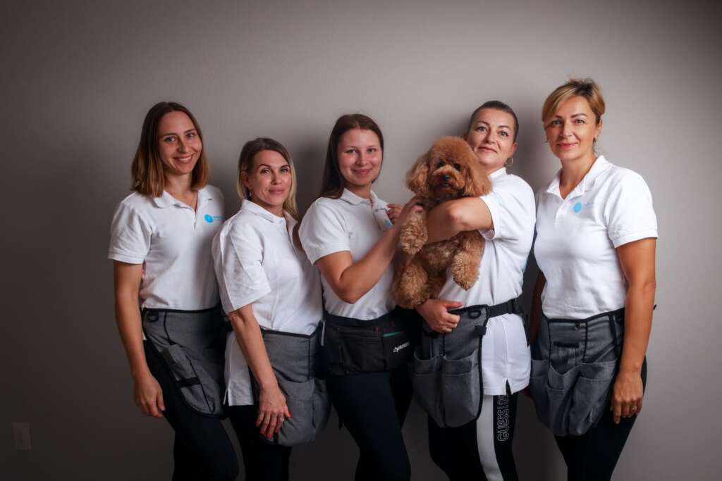 Wow Now Cleaning Team Wow Now Cleaning Team