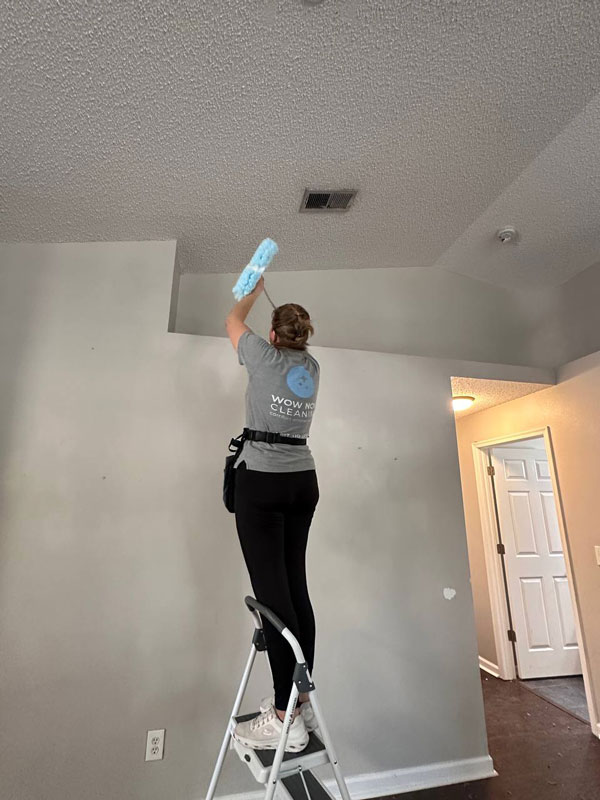 Wow-Now-Cleaning---dusting