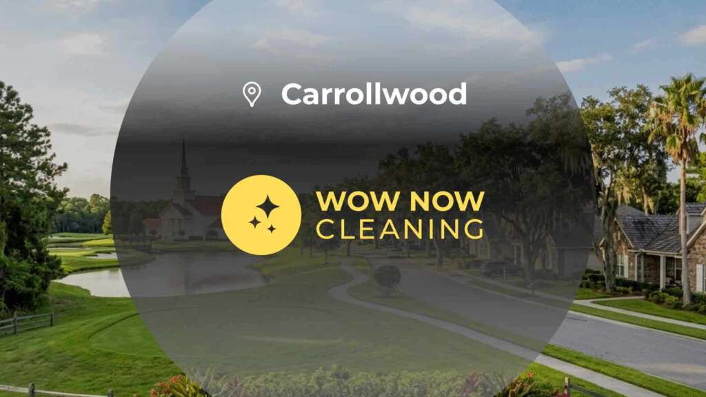 house-cleaning-services-carrollwood house cleaning services carrollwood