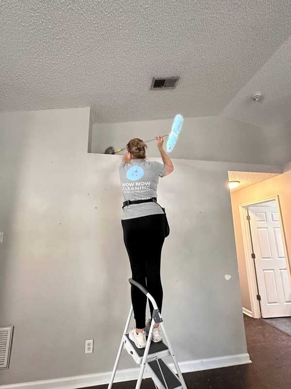 wow-now-cleaning---dusting wow-now-cleaning---dusting